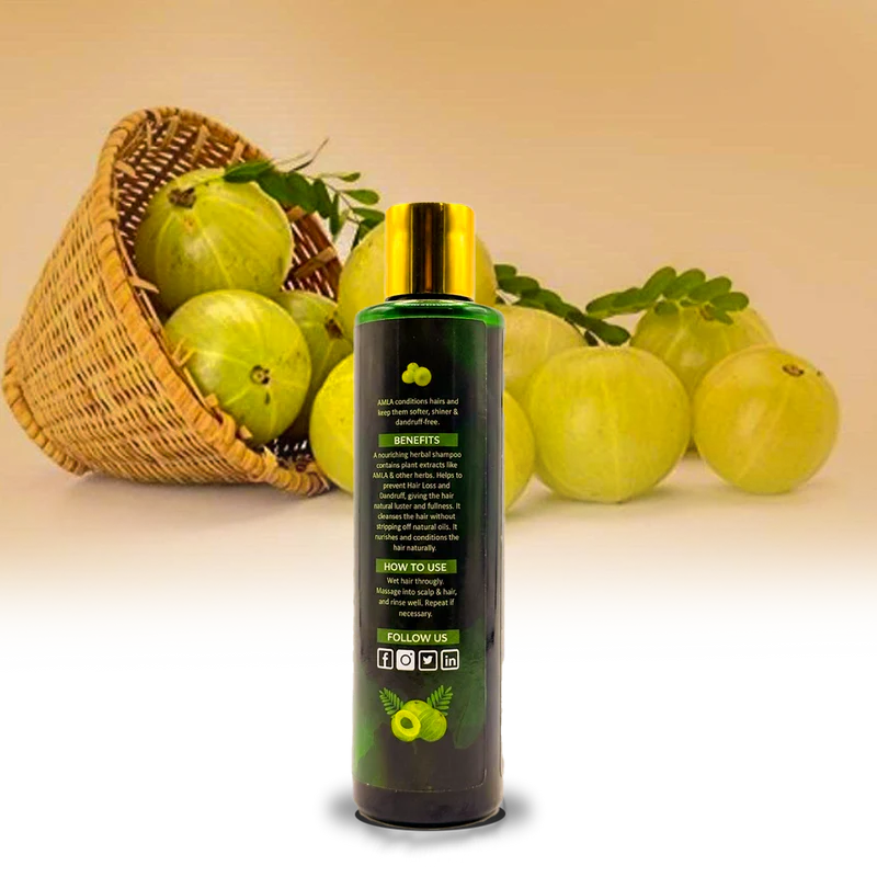 Hair Feed Shampoo – Nourish, Strengthen & Revitalize Hair