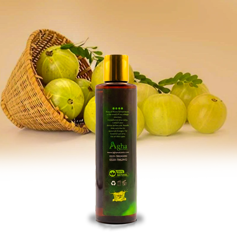 Hair Feed Shampoo – Nourish, Strengthen & Revitalize Hair