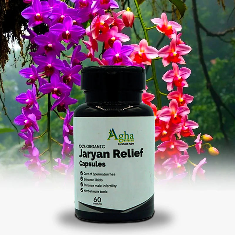 Jaryan Care Capsules – Support for Weakness, Stress & Nightfall Issues