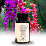 Jaryan Care Capsules – Support for Weakness, Stress & Nightfall Issues